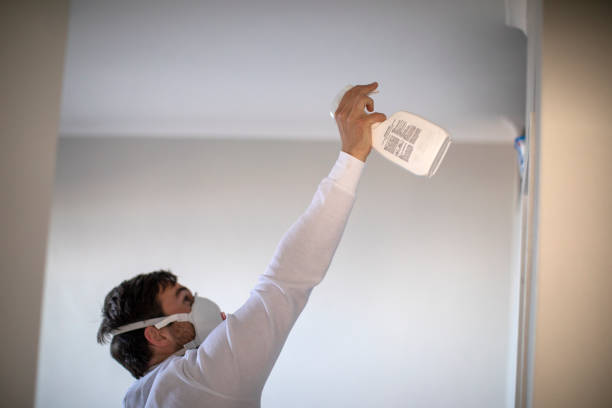 Best Black Mold Removal  in Webster Groves, MO