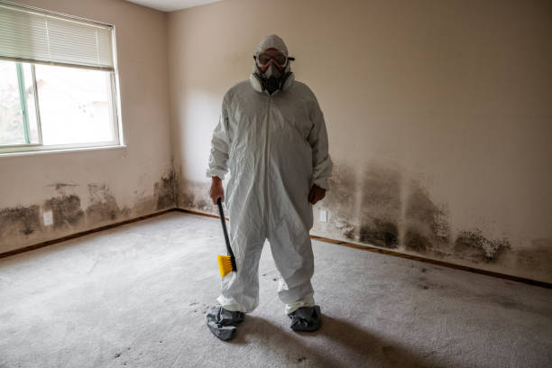 Best Crawl Space Mold Removal  in Webster Groves, MO